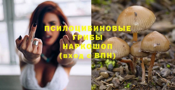 apvp Алексеевка