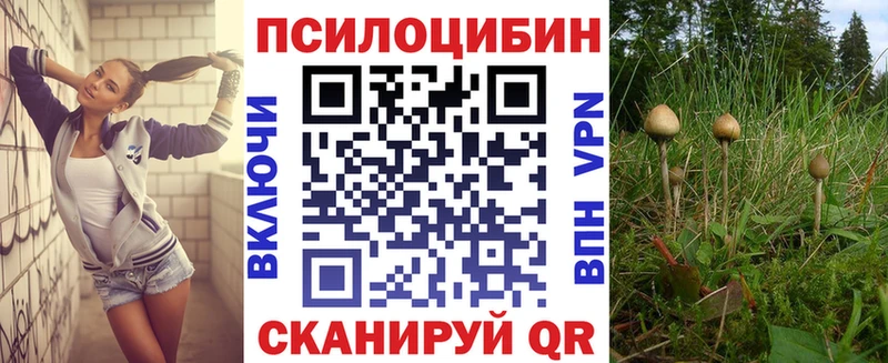 Псилоцибиновые грибы Magic Shrooms  Буй 